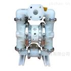 WILDEN氣動(dòng)隔膜(mó)泵