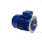 德國進口ROBERT BIRKENBEUL電動機